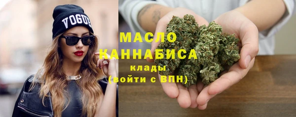 индика Краснотурьинск