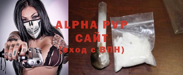 индика Краснотурьинск