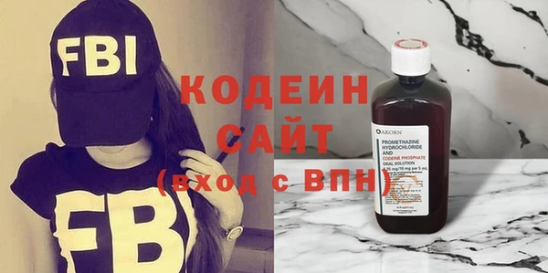индика Краснотурьинск