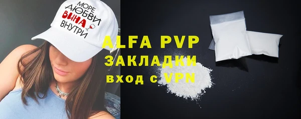 индика Краснотурьинск