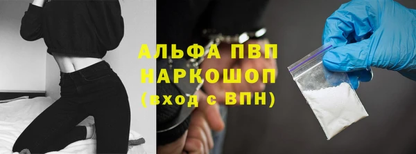 индика Краснотурьинск