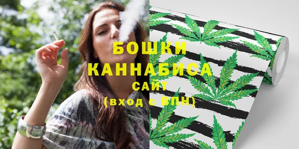 a pvp Краснослободск