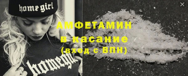 индика Краснотурьинск