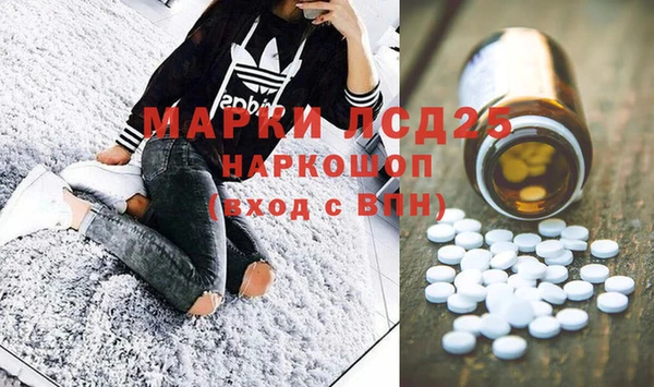 индика Краснотурьинск