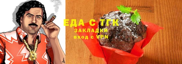 индика Краснотурьинск