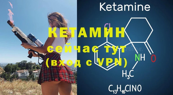индика Краснотурьинск