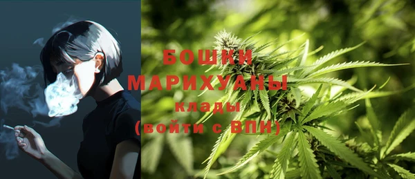 a pvp Краснослободск