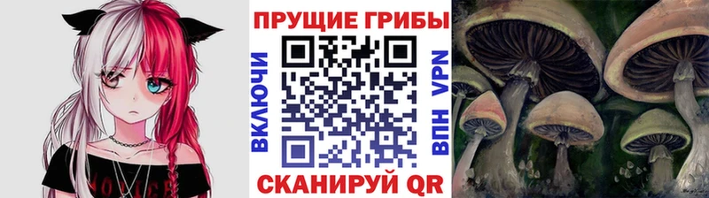 Псилоцибиновые грибы прущие грибы  Купить  Чердынь 